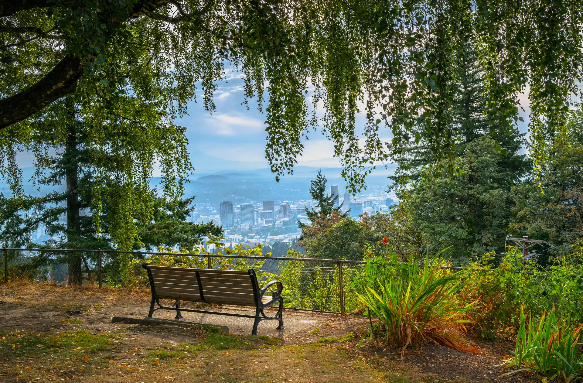 AdobeStock_532301014 1